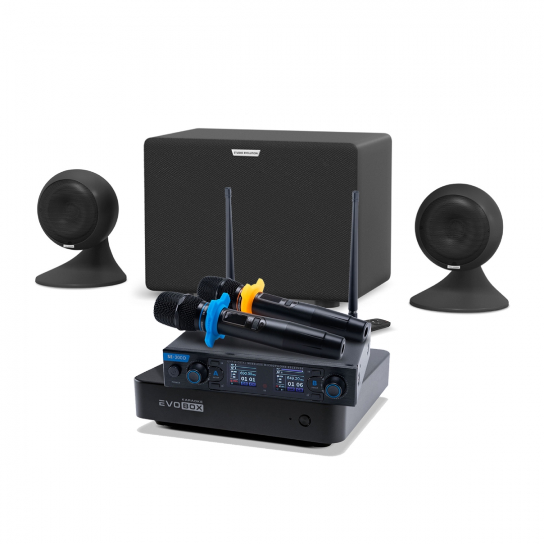 караоке-комплект EVOBOX + EvoSound Sphere 2.1 в Вязьме