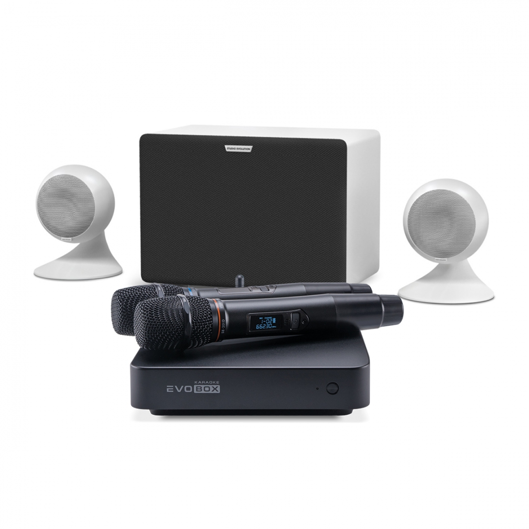 караоке-комплект EVOBOX Classic + EvoSound Sphere 2.1 в Вязьме