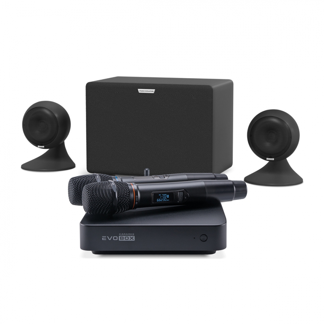 караоке-комплект EVOBOX Plus + EvoSound Sphere 2.1 в Вязьме
