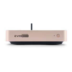 EVOBOX Classic караоке-система для дома в Вязьме
