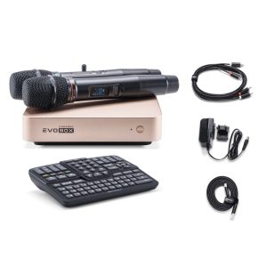 EVOBOX Classic караоке-система для дома в Вязьме