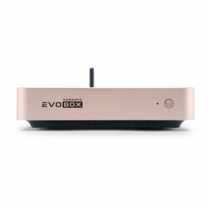 EVOBOX Plus караоке-система для дома в Вязьме