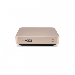 EVOBOX с микрофонами в Вязьме